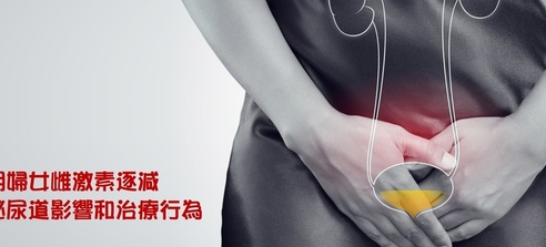 更年期婦女雌激素逐減對泌尿道影響