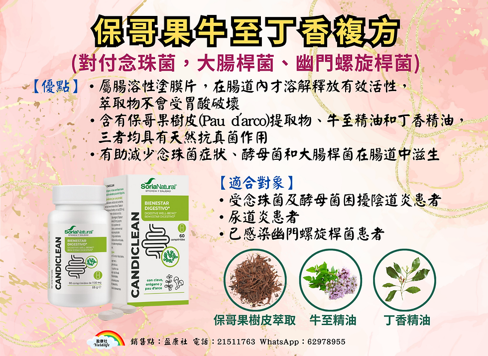 牛至丁香複合配方 保哥果樹皮提取物 念珠菌症狀酵母菌大腸桿菌腸道中滋生盈康社1