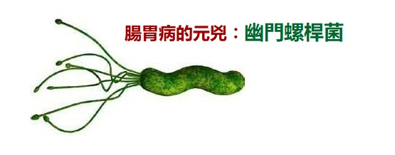 羅伊氏乳桿菌Probicobacter 專利益生菌複方(Lactobacillus Reuteri Pylopass™ DS17648M) ☆優點: ⦁專門針對幽門螺桿菌,不影響腸道中任何其他細菌 ⦁識別並粘附幽門螺桿菌,結合後通過糞便排出體外 ⦁在胃的酸性環境中穩定 ⦁耐受性好,無副作用 ⦁在室溫下穩定性至少2年。不需要冷藏 ☆臨床研究結果: ⦁14天后減輕幽門螺桿菌的負擔 ⦁有助抗幽門螺桿菌治療的有效性 ⦁有助於減輕胃部不適的症狀 ☆適用症 預防習慣性腸道感染者﹑兒童腹瀉﹑幽門螺桿菌感染者﹑ 尿道炎感染者﹑急性腸胃炎﹑腸絞痛