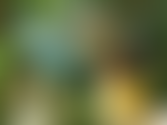 小時候，我們沒有錢，但是很快樂…