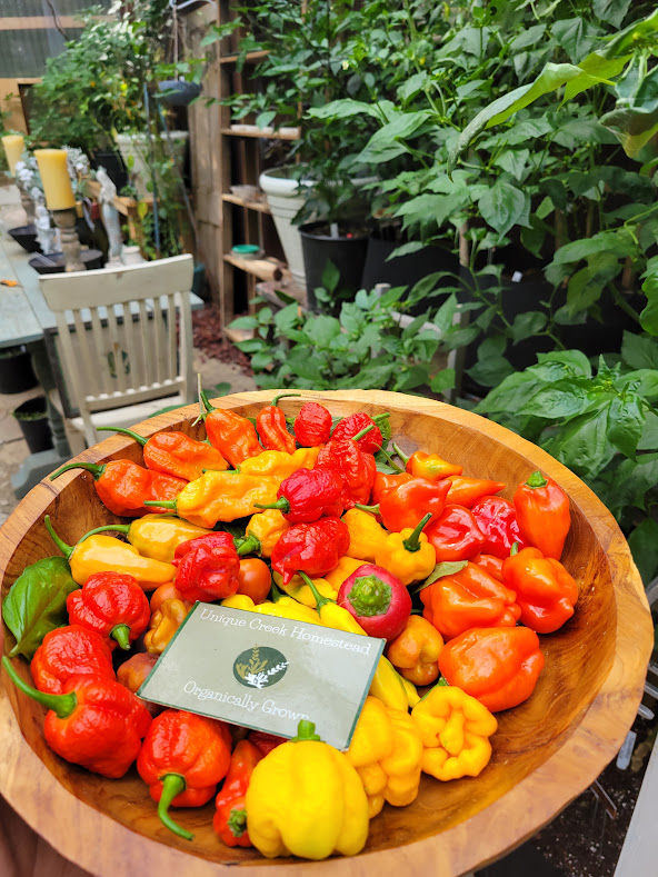 Thumbnail: Habanero Chocolate HOT Pepper Seasoning Flakes 0.5 Million Scoville