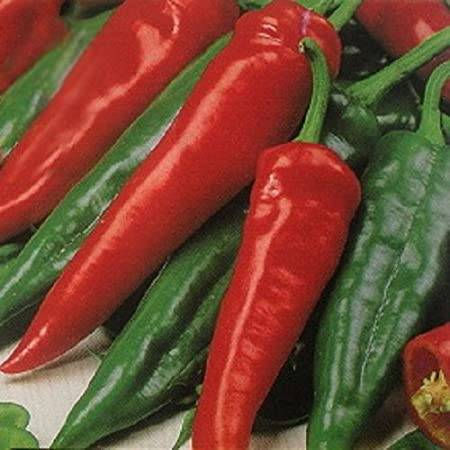 Thumbnail: NuMex Lumbre XXL Hatch Chili Pepper Seeds Great For Salsa Pan Searing