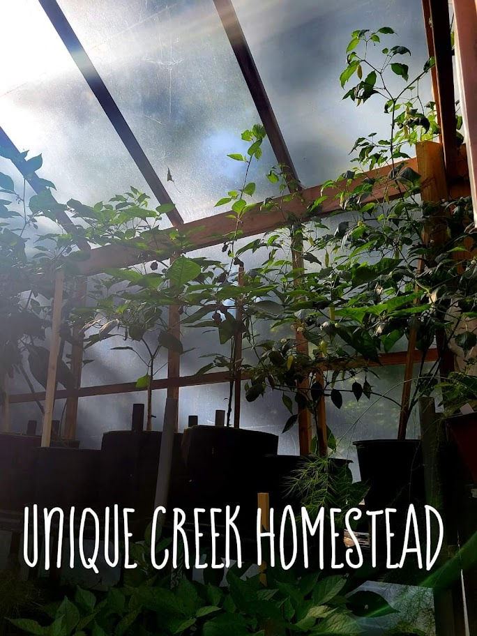 Thumbnail: Habanero Chocolate HOT Pepper Seasoning Flakes 0.5 Million Scoville