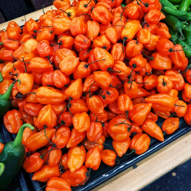 Thumbnail: Orange Habanero HOT Pepper Seeds 300,000 Scoville SHU