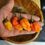 Thumbnail: Orange Demon Pepper Seeds 1,000,000+ Scoville SHU