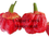 Thumbnail: 7 Pot Bleeding Bubblegum Red SUPER HOT Pepper Seeds Organic Unique Creek