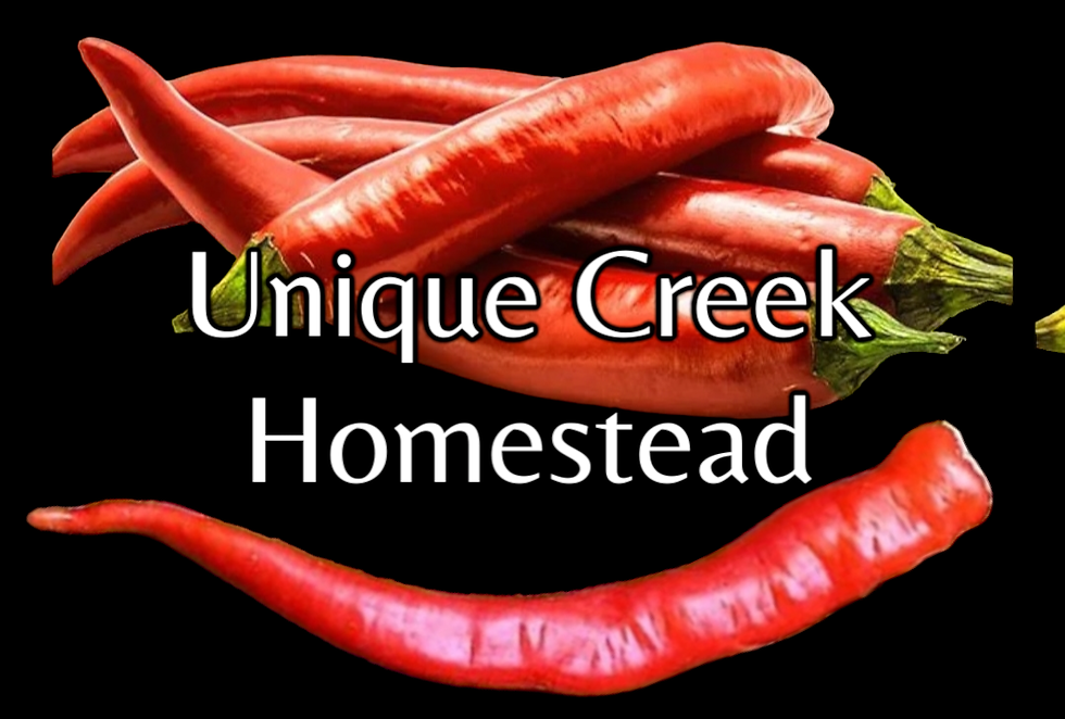 COW HORN Cowhorn Mild Pepper Seeds Organic Unique Creek Homestead