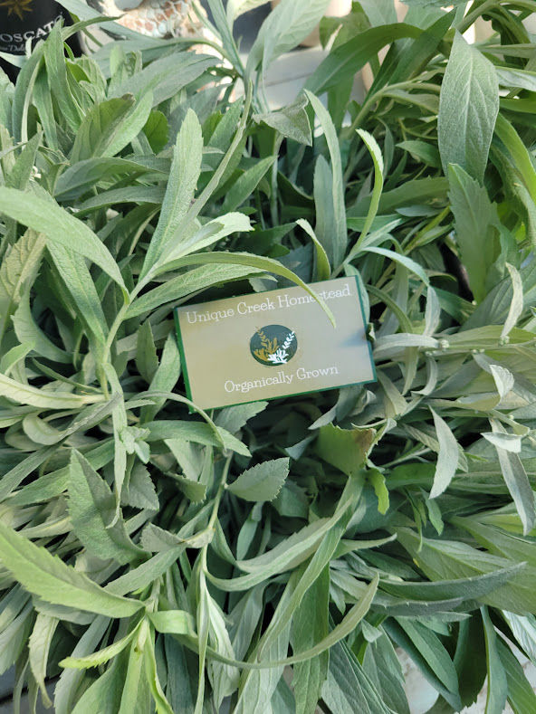 Thumbnail: Silver Sagebrush Seeds Organic Unique Creek Homestead