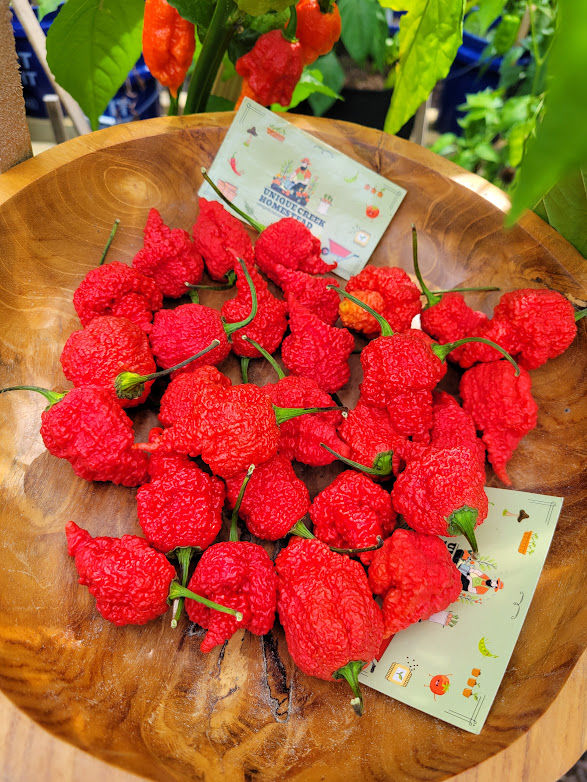 Thumbnail: RB003 Pepper Seasoning Flakes 2,000,000+ Scoville SHU Super Hot