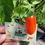 Thumbnail: NuMex Orange Spice Jalapeno Pepper Seeds Chili 10-15,000 Scoville