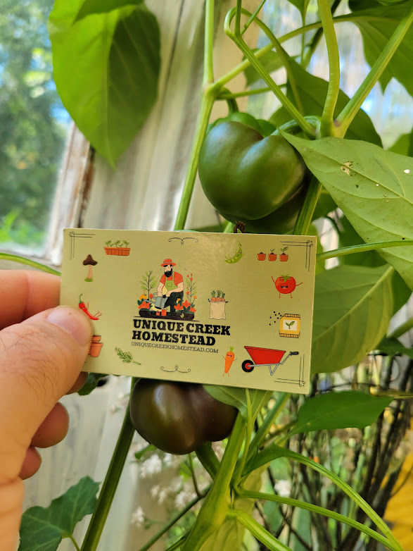 Thumbnail: Mini Chocolate Bell Pepper Seeds Miniature Sweet Productive