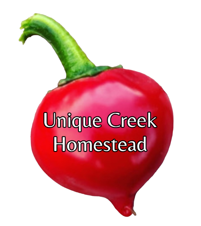 Thumbnail: Calabrian Tondo Round Pepper Seeds 20,000+ Scoville SHU Cal Tondo