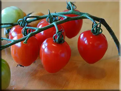 Thumbnail: Gardeners Sweetheart Tomato Seeds Organically Grown Unique Creek