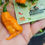 Thumbnail: VIPER FANGS Pepper Seeds Super Hot Peach Fatalii x Reaper F1 Cross