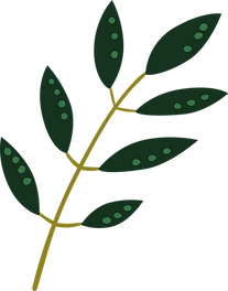 Plant _edited.png