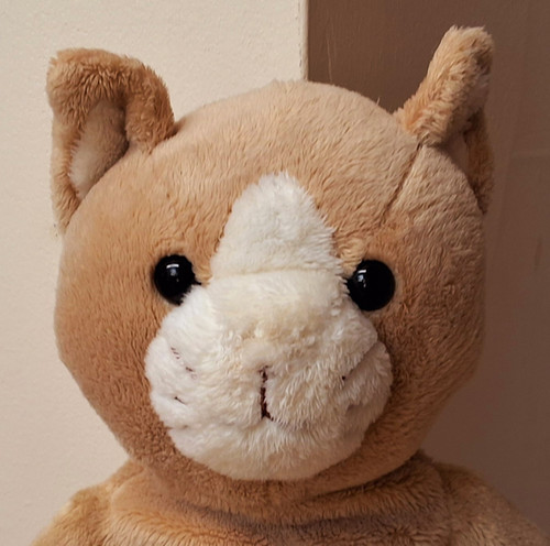 Harrods My First Harrods Kitten | Harrodsteddybears
