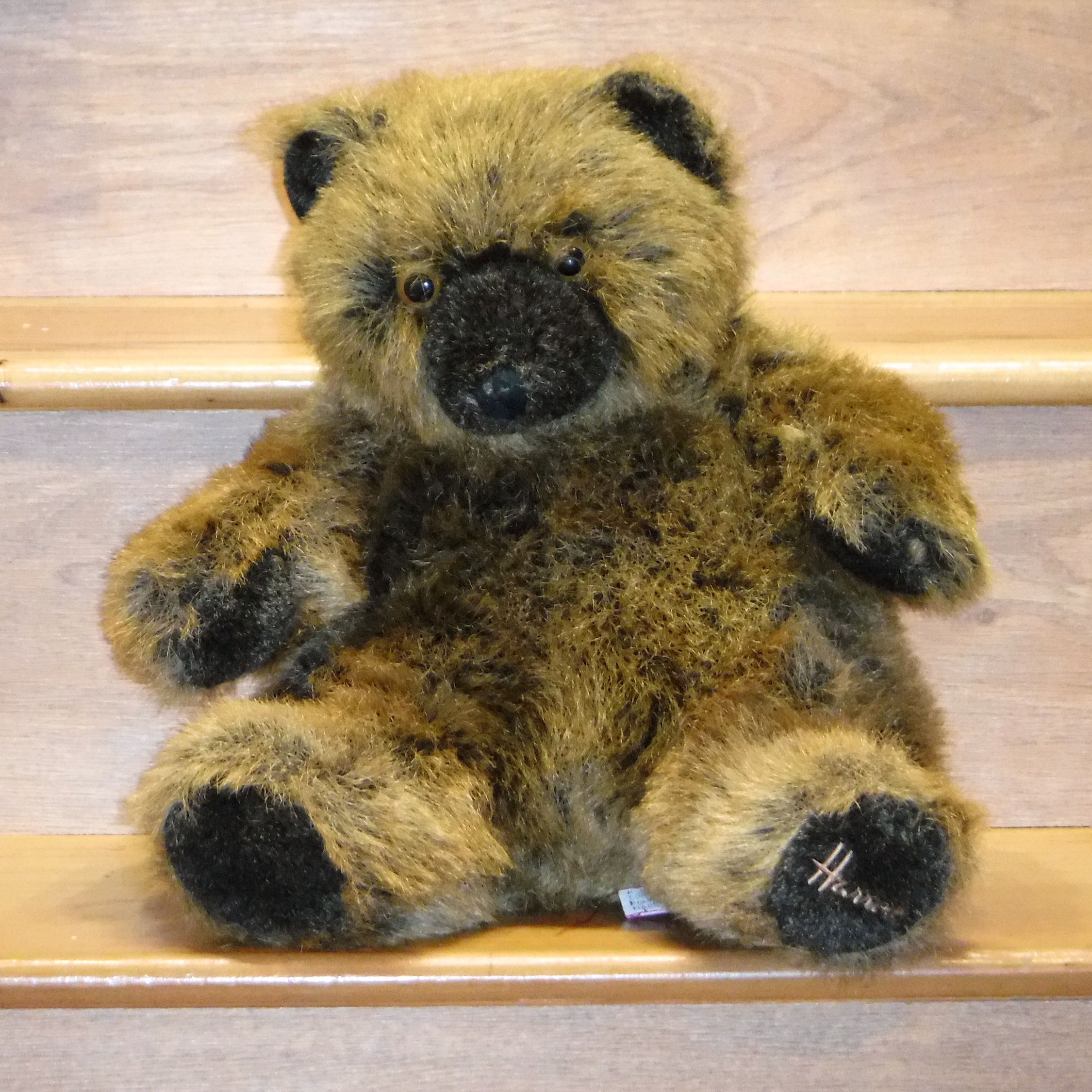 Harrods Grizzly Bear