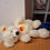 Thumbnail: Steiff Lotte 28cm Teddy Bear - 111464