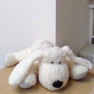 Thumbnail: Harrods Cream with Blue Check Paws dog