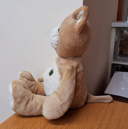Harrods My First Harrods Kitten | Harrodsteddybears