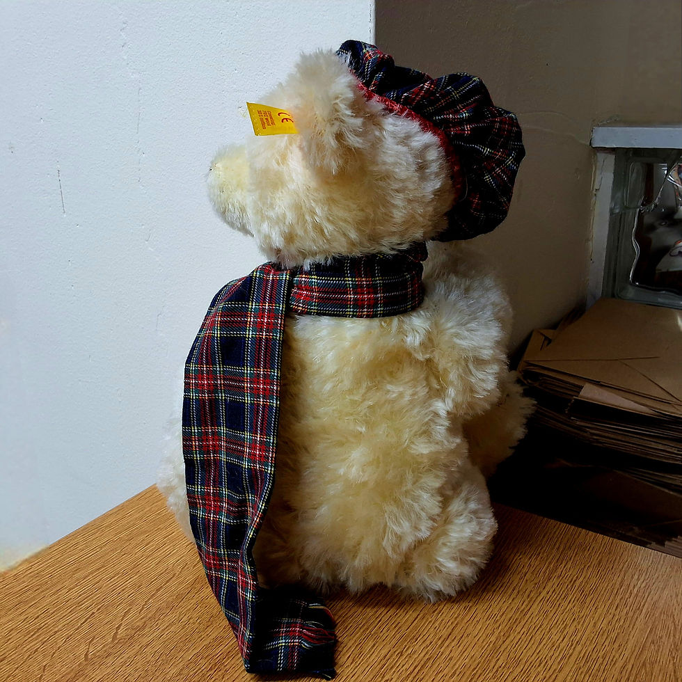Thumbnail: Steiff Winter Bear Hamish With Growler - 654459