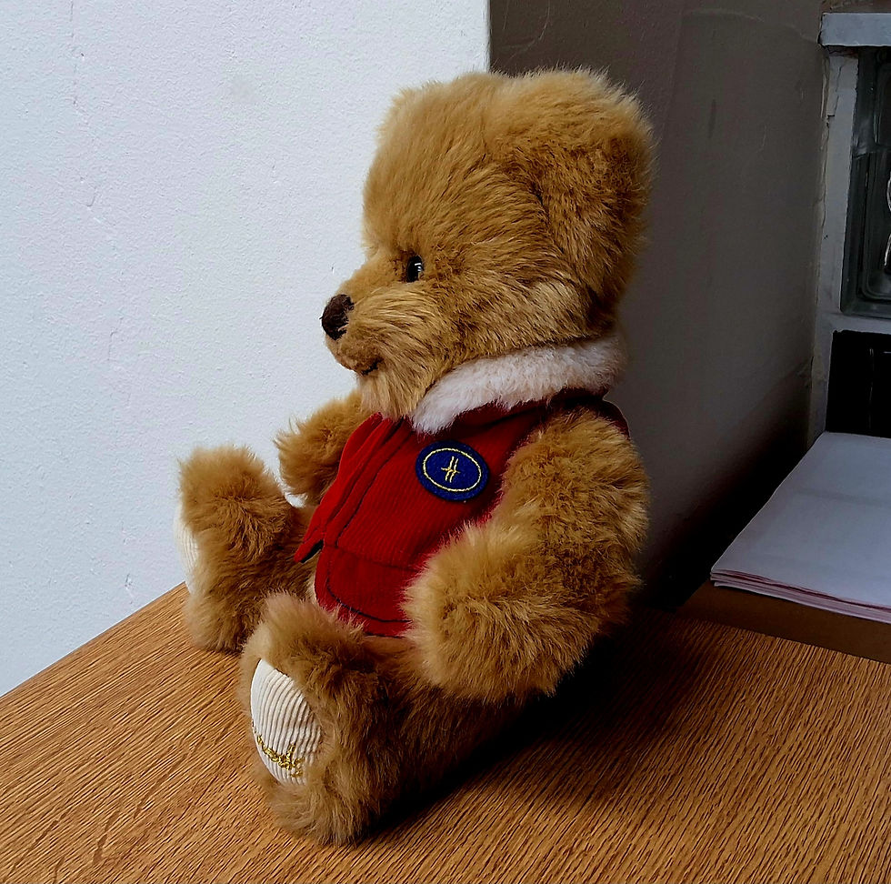 Thumbnail: 2007 Harrods Christmas Bear - BENJAMIN