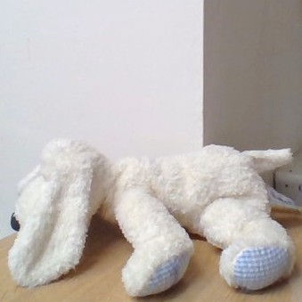 Thumbnail: Harrods Cream with Blue Check Paws dog