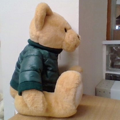 Thumbnail: Harrods Green Puffer Coat