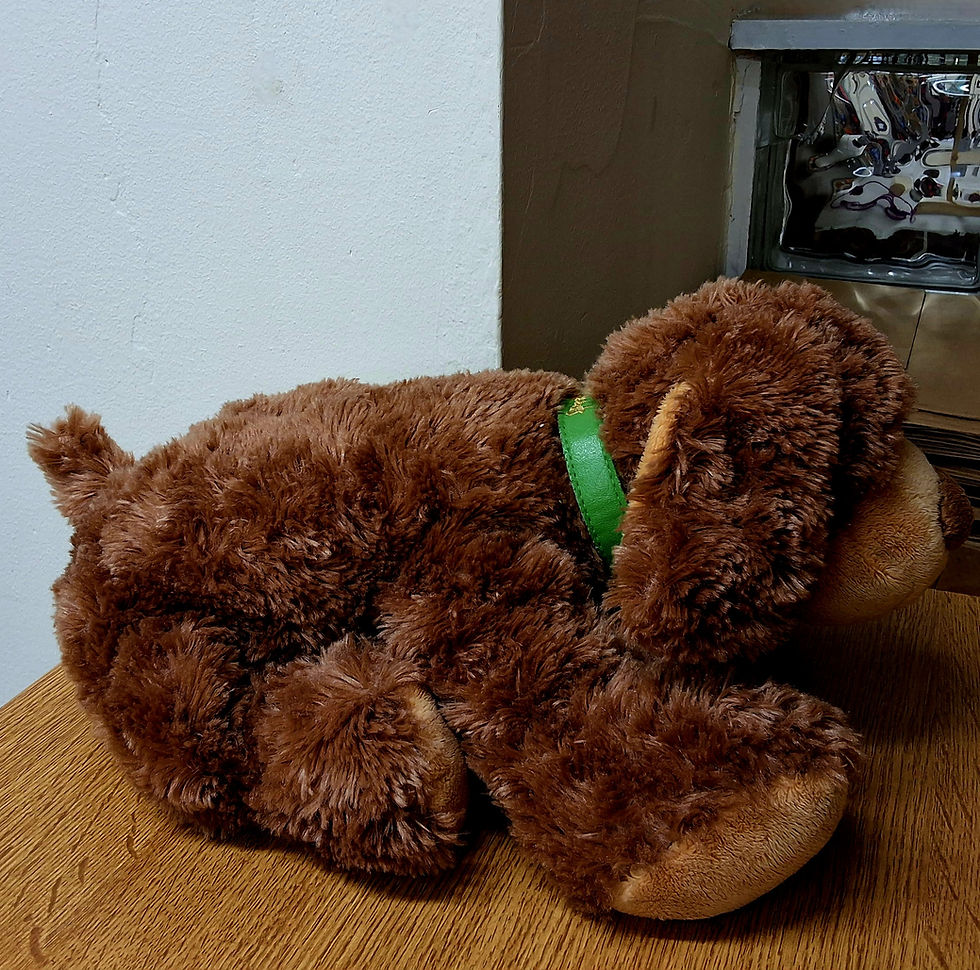 Thumbnail: Harrods Large Cocker Spaniel style Dog with Harrods Collar