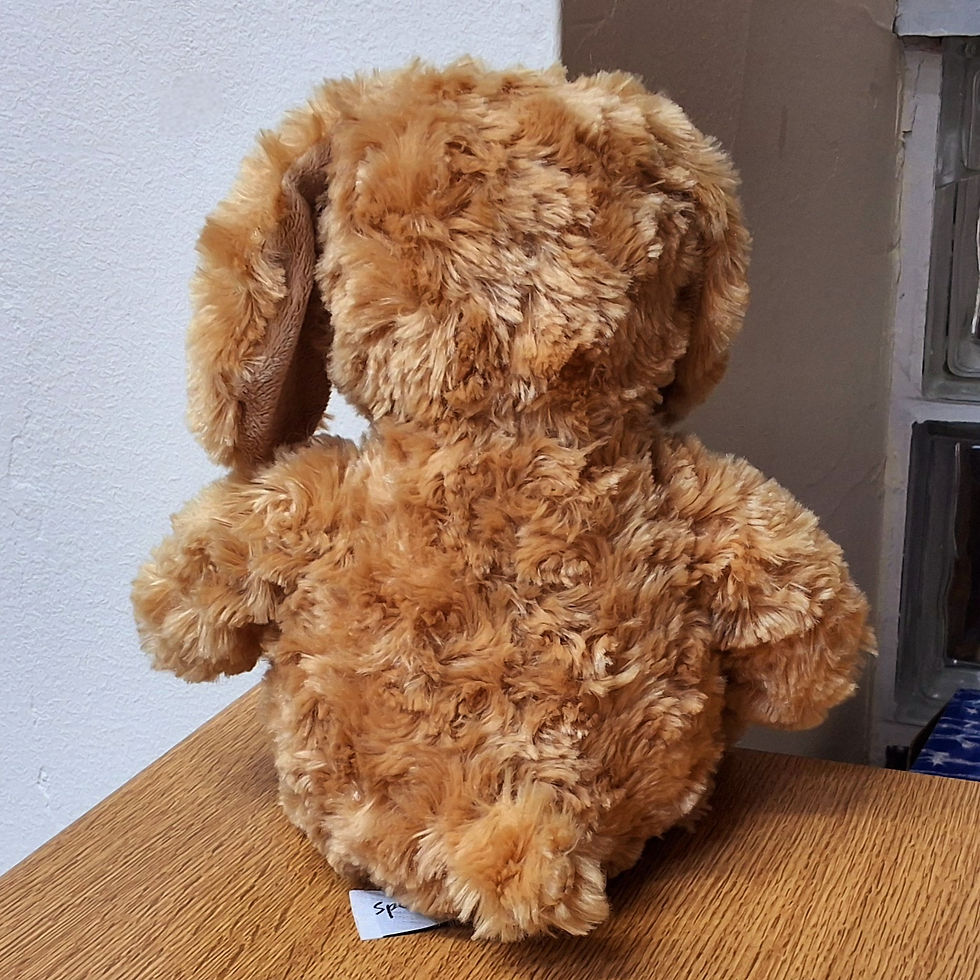 Thumbnail: Harrods Happy Golden Dog with Big Floppy Ears