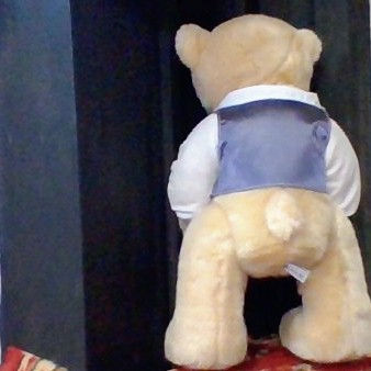 Thumbnail: Boxed Harrods 2012 Annual Bear John Henry Dickin