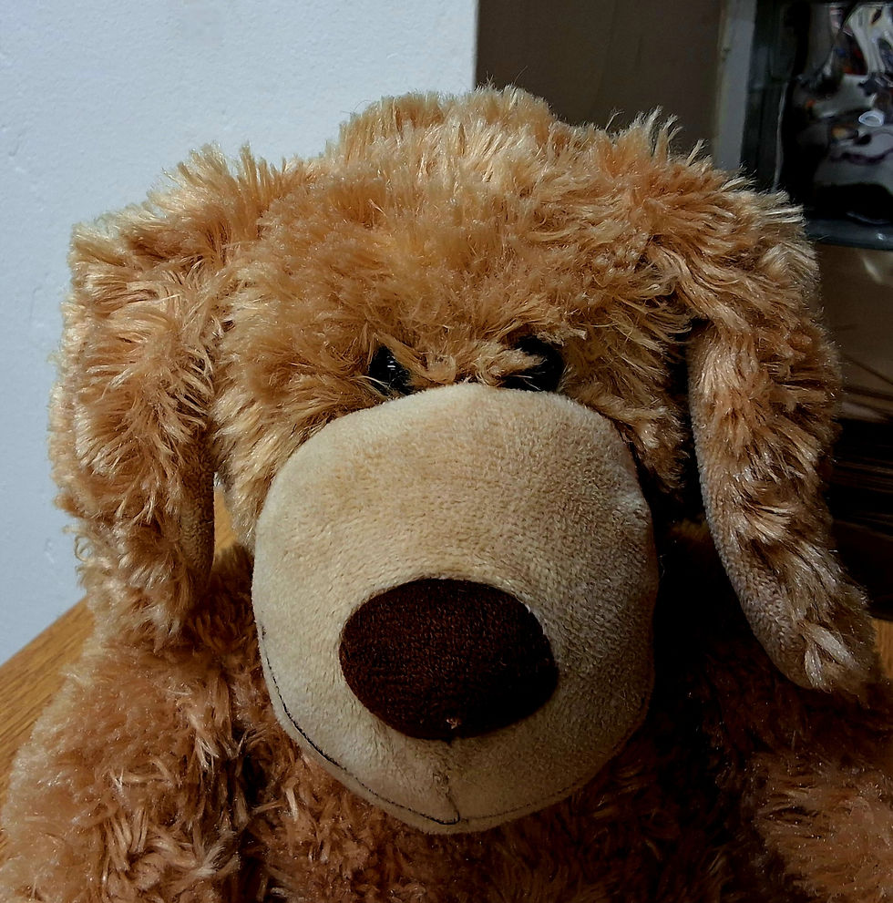 Thumbnail: Harrods Light Brown Cocker Spaniel Dog