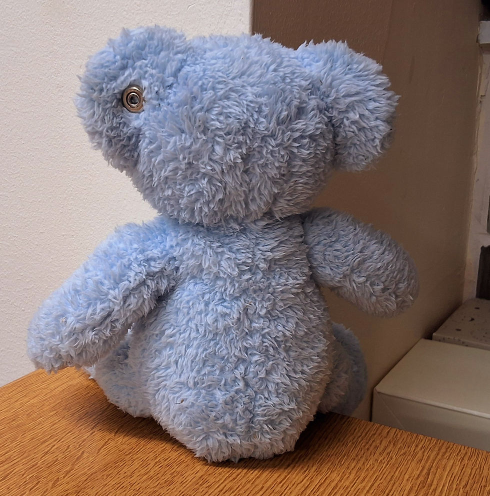 Thumbnail: Steiff My First Steiff Nursery Blue - 664724