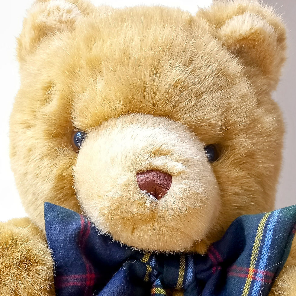 Thumbnail: 1994 Harrods Christmas Bear - Highland Christmas
