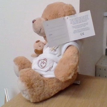 Thumbnail: Harrods Bedtime Bear with Dressing Gown and Puppy