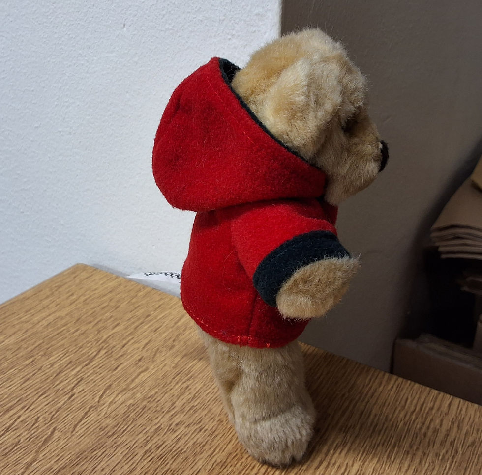 Thumbnail: Harrods 2003 Christmas Bear Standing and Small