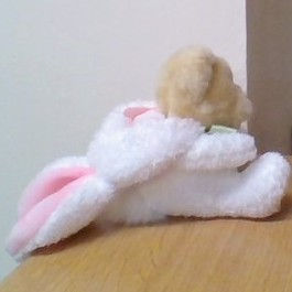 Thumbnail: Harrods Bear dressed as Easter Bunny