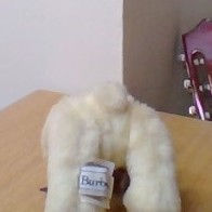 Thumbnail: Burberrys Mini Bear 7" tall