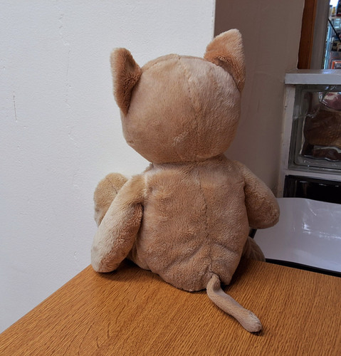 Harrods My First Harrods Kitten | Harrodsteddybears