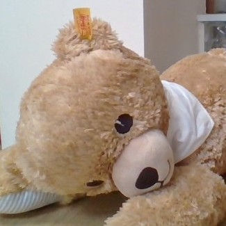 Thumbnail: Steiff Baby Sleep Well Bear - 239731