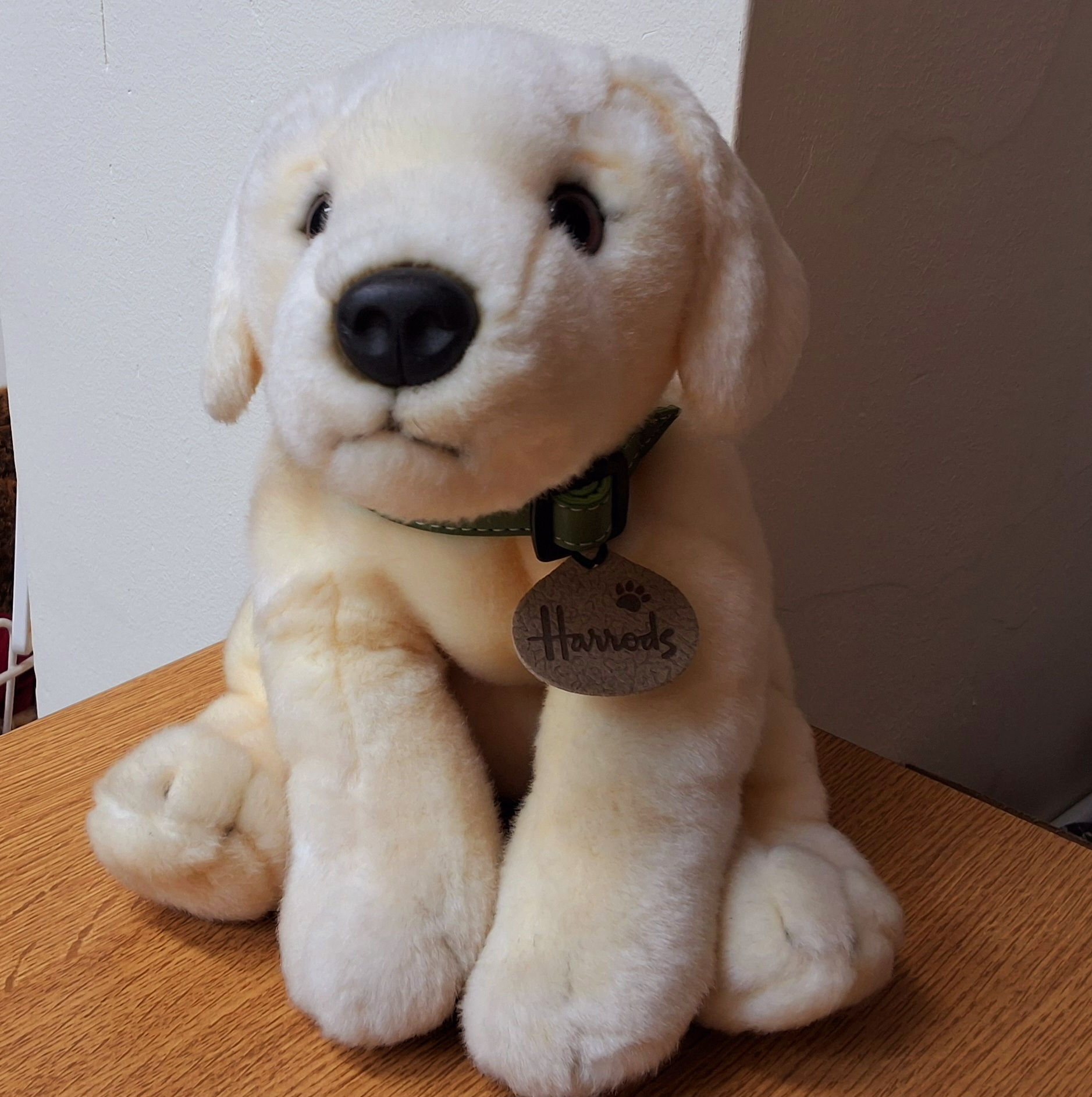 Harrods Golden Labrador Puppy