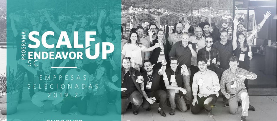 SCALE UP ENDEAVOR 2019
