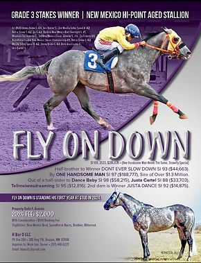 Fly on Down Stallion