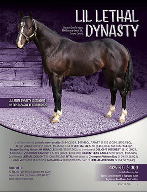 Lil Lethal Dynasty Stallion