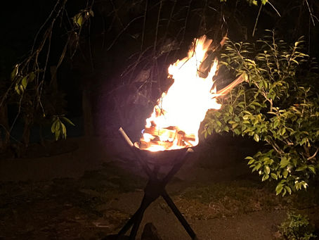 思えば、今年もあと半分。