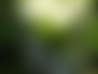 目まぐるしい・・・