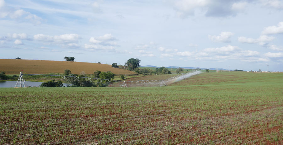 Área agrícola com solo preparado para implantação de sistema de irrigação