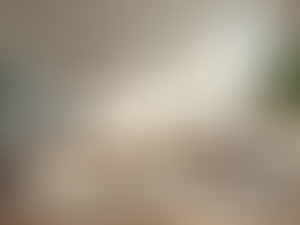 Why High-Quality Photography Sells Homes Faster