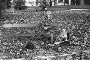 A Woman in the Park | Une Femme dans le Parc