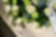 iStock-507110096.jpg